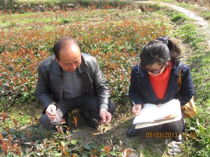 浙江精神·典型人物丨一待7年 她对大山的爱没有休止符