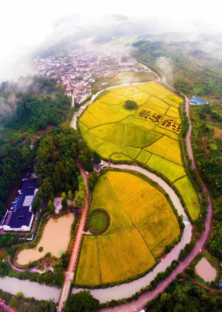 武义俞源古村:采菊东篱 尊礼重教 - 浙江报道网-聚焦浙江具有影响力的